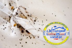 شركة مكافحة البق بالقصيم