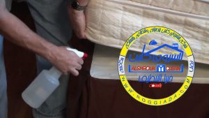 شركة مكافحة البق بالقصيم