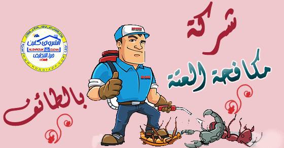شركة مكافحة العتة بالطائف 0535368995 شركة مكافحة العتة بالطائف 0535368995