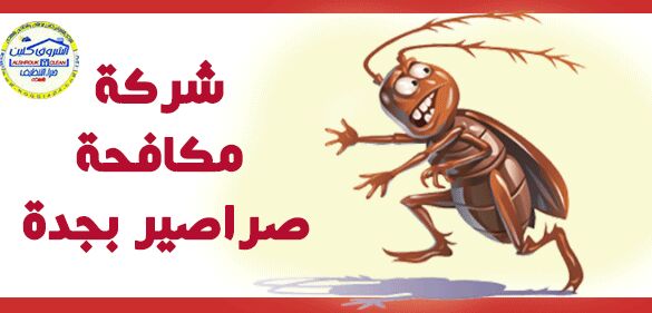 شركة مكافحة الصراصير بجدة